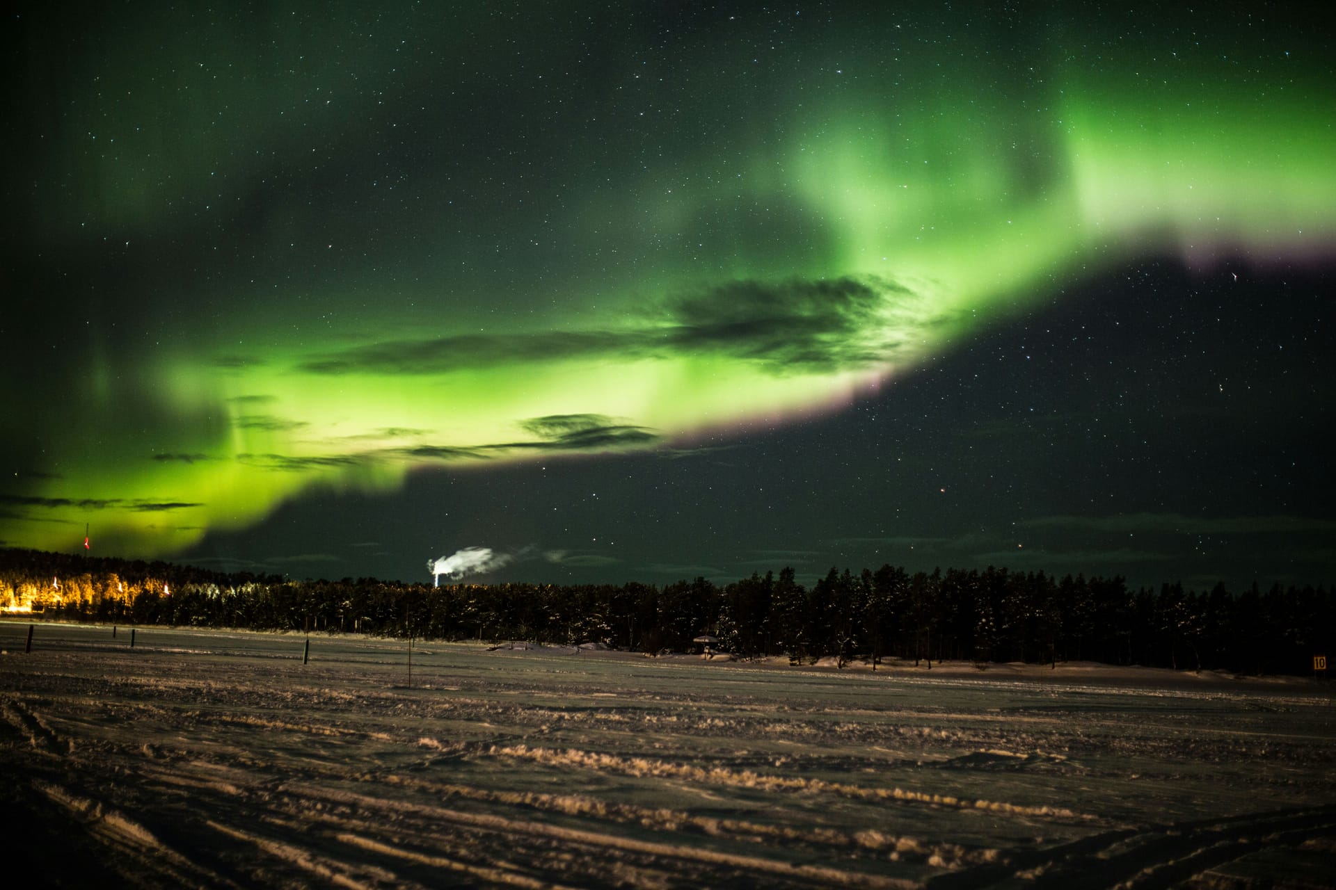 Northern lights swirling across the night sky over a snow-covered Lapland forest